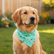 Bandana