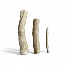 Coffee Wood Chew