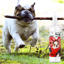 Bye Bye Bug Dog Spray- Insect Repellent- Special Offer
