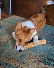 Coffee Wood Chew