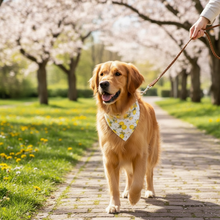 Spring Time Bandana (M) - Special Offer