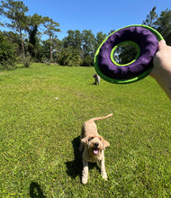 Heavy Duty Frisbee