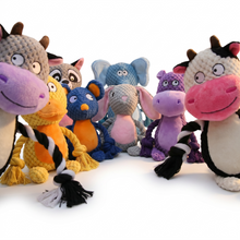 Cuddle Buddies- Plush Dog Toy with Rope Arms & Squeaker