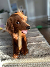 Coffee Wood Chew