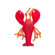FLOATING DOG TOYS