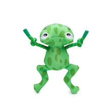 FLOATING DOG TOYS
