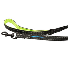 Dog Leash