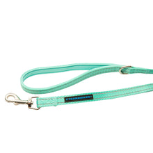 Dog Leash