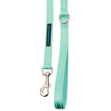 Dog Leash